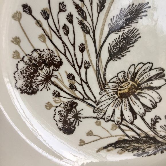 (2) 70’s floral dinner plates <neutral> - Picture 2 of 4